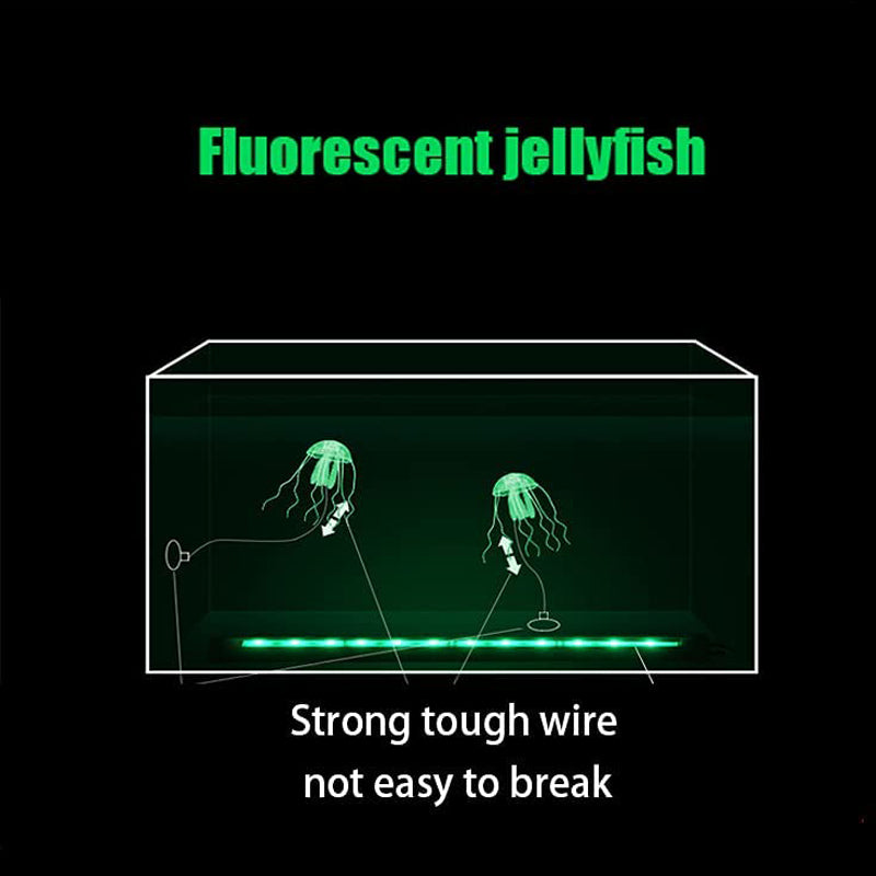 Skanto | Akvarium landskap simulering transparent fluorescerende manet