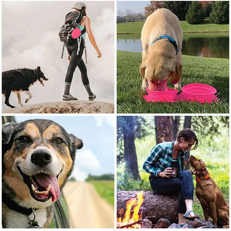Skanto | Reise Hund Middagsett