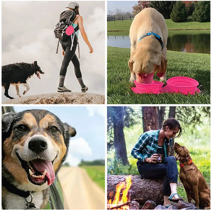 Skanto | Reise Hund Middagsett