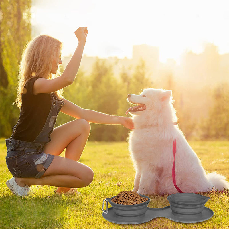 Skanto | Reise Hund Middagsett