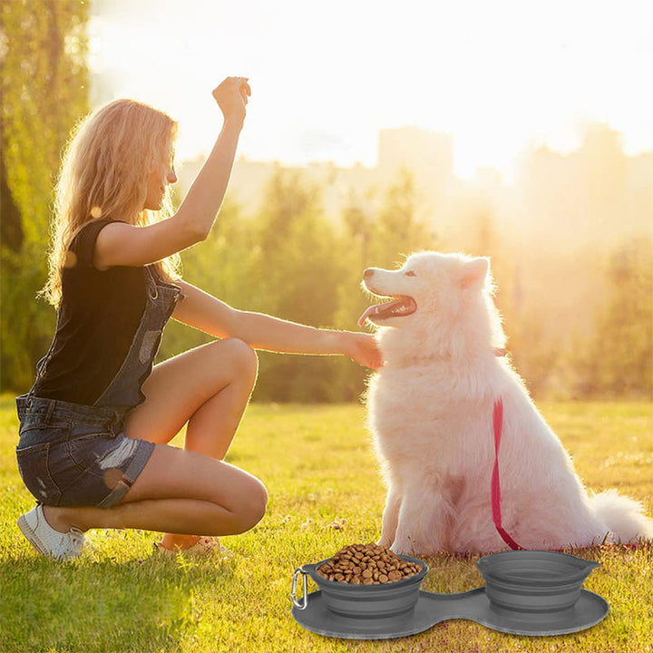 Skanto | Reise Hund Middagsett