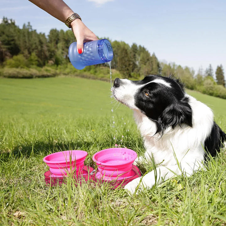 Skanto | Reise Hund Middagsett