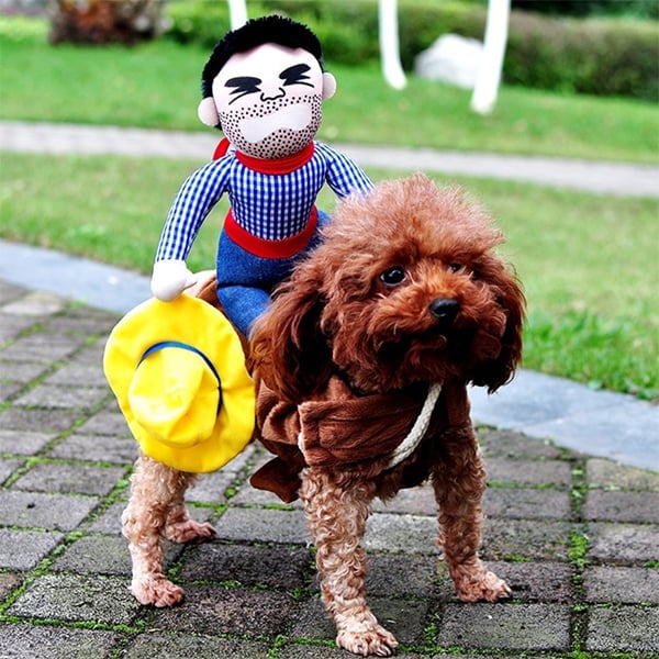 Skanto | Cowboy Rytter Hund Kostyme