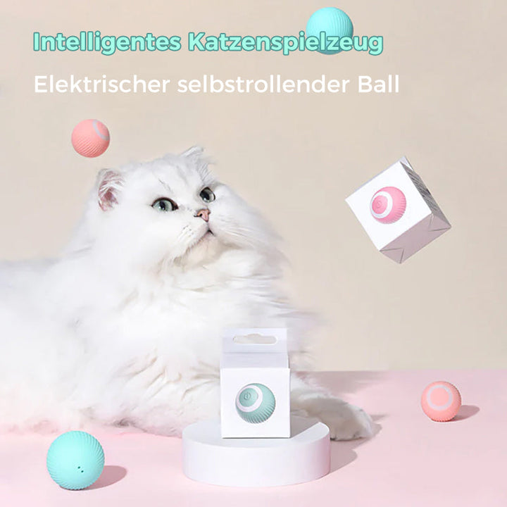 Intelligent Electric Self-Rolling Cat Toy Ball | Skanto
