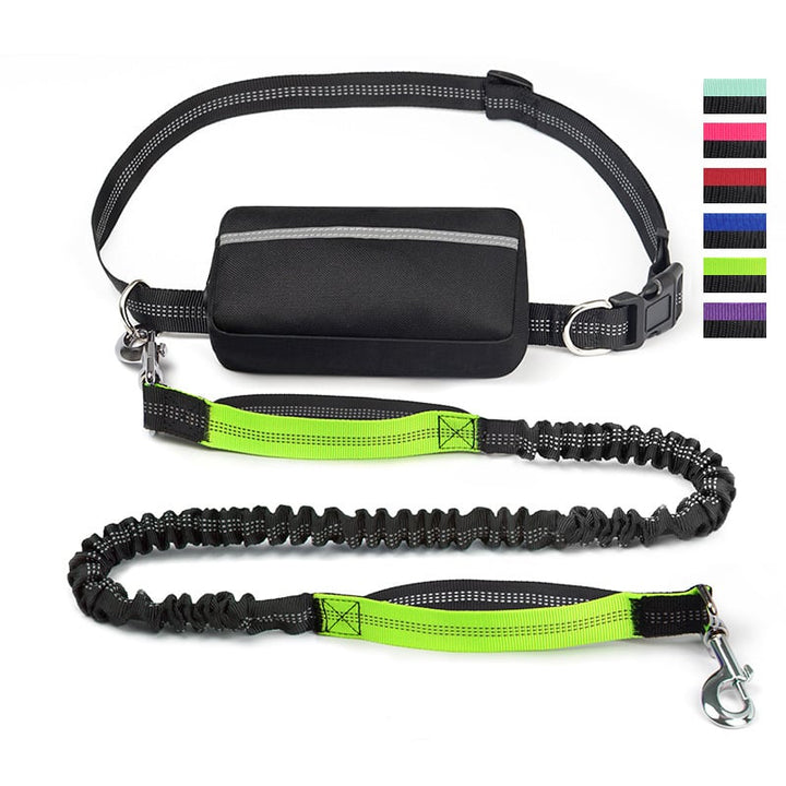 FlowLeash — Opplev myk kontroll og avslappede turer uten rykk! | Skanto