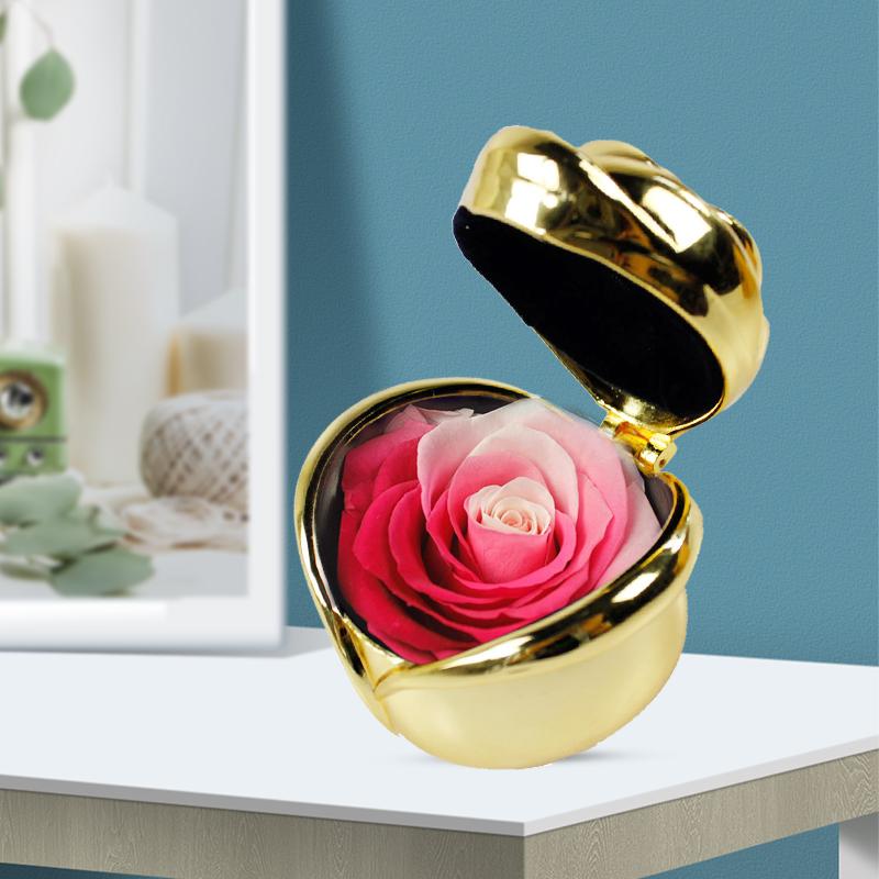 Skanto | Bevarte Blomst Rose