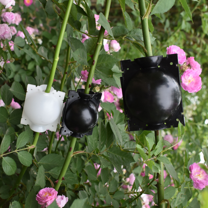 Air Layer Plant Propagation Capsule | Skanto