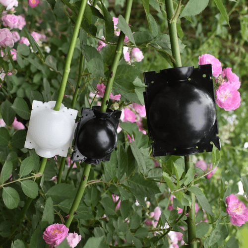 Skanto | Luftlagdeling Planteformeringskapsel