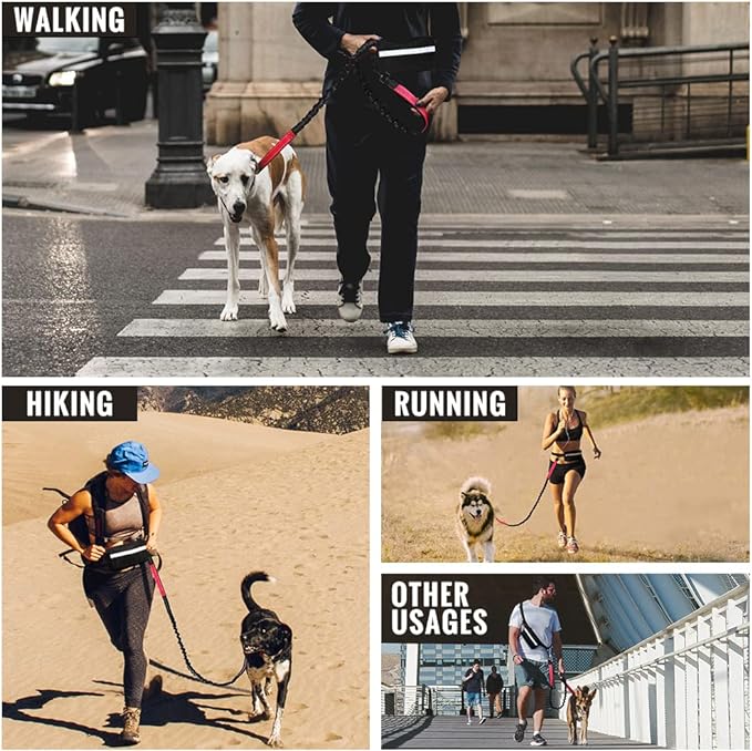 FlowLeash — Opplev myk kontroll og avslappede turer uten rykk! | Skanto
