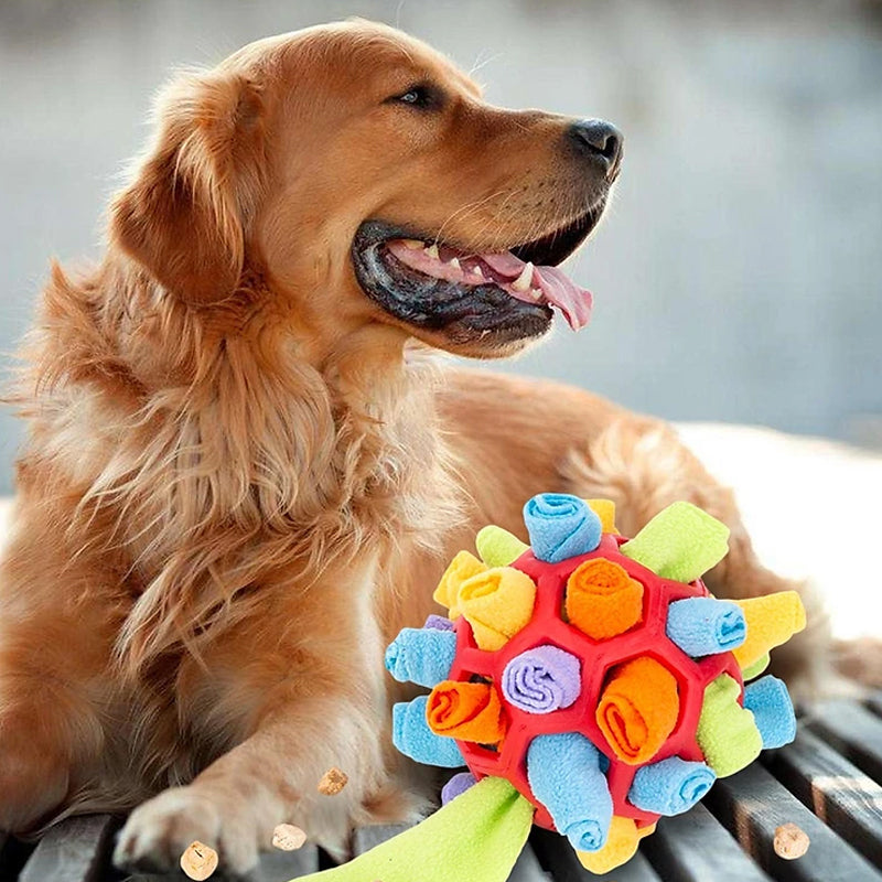 Sniffle ball for pets | Skanto