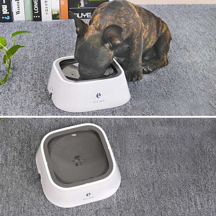 Skanto | Pets Zero Splash Bolle