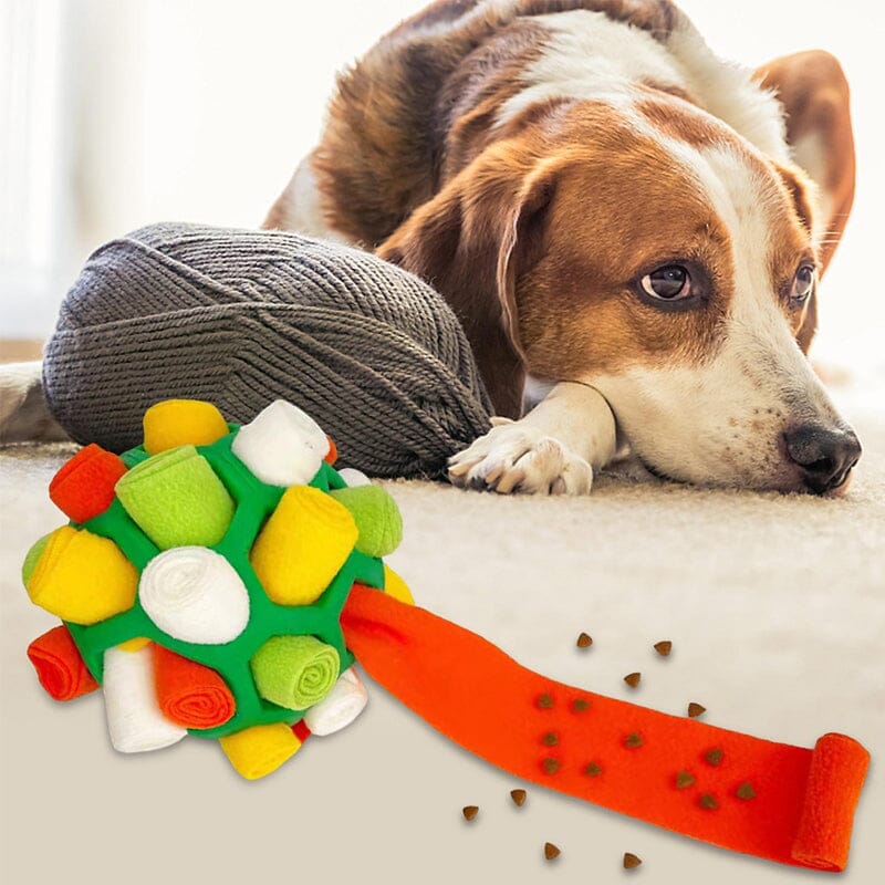 Skanto | Hund Bitt Leketøy