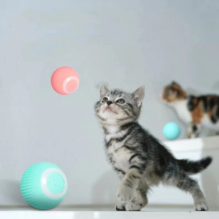 Skanto | Intelligent Elektrisk Selv-Rullende Katt Lekeball