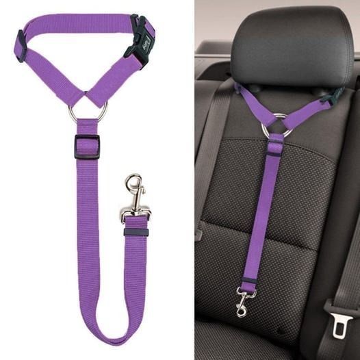 Skanto | Justerbar Bilen Hundefløyte