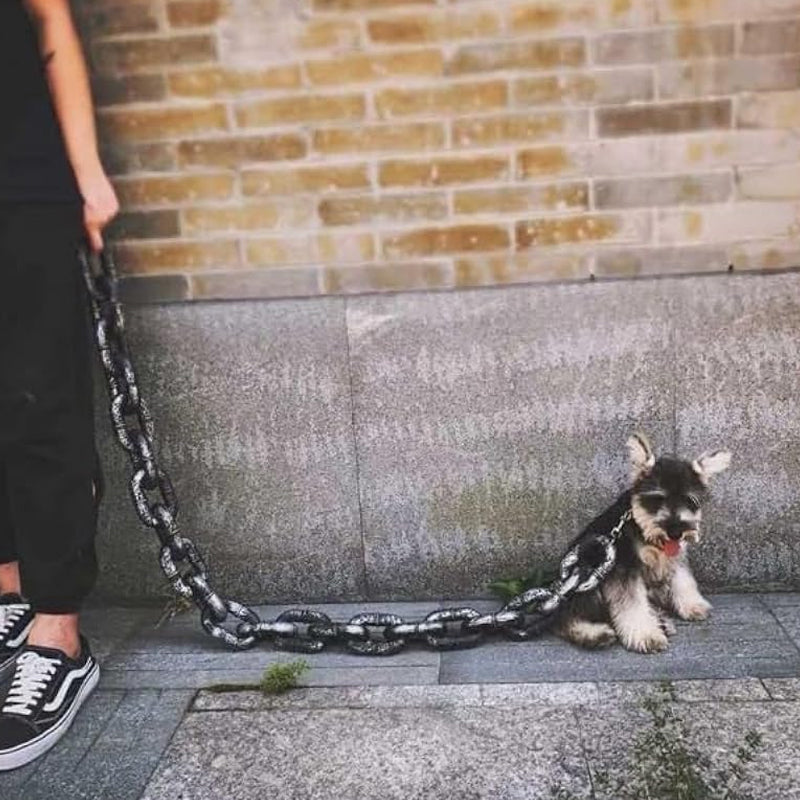 Skanto | Morsom Hundebånd