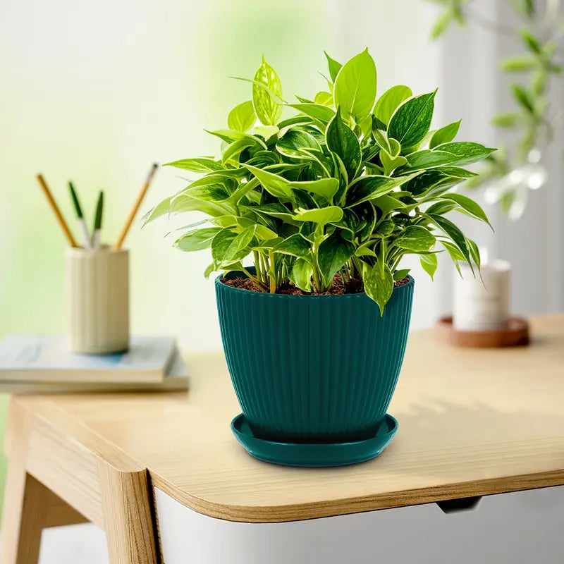 Skanto | Blomsterpotte med sporstruktur og skål – Robust plastpotte for planter