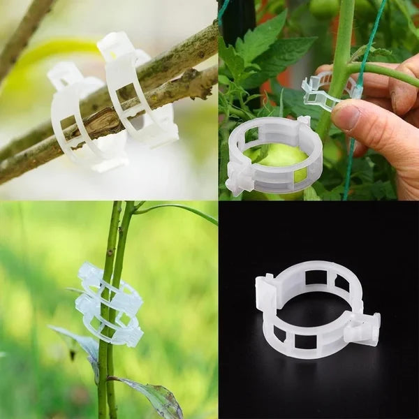 GripKing Clips — Hold plantene sterke og oppdag enkelt, sunn vekst! | Skanto