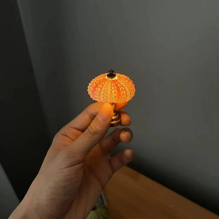 Skanto | LumiCraft – Unik DIY bordlampe med naturlig sjøskjell for en koselig dekor