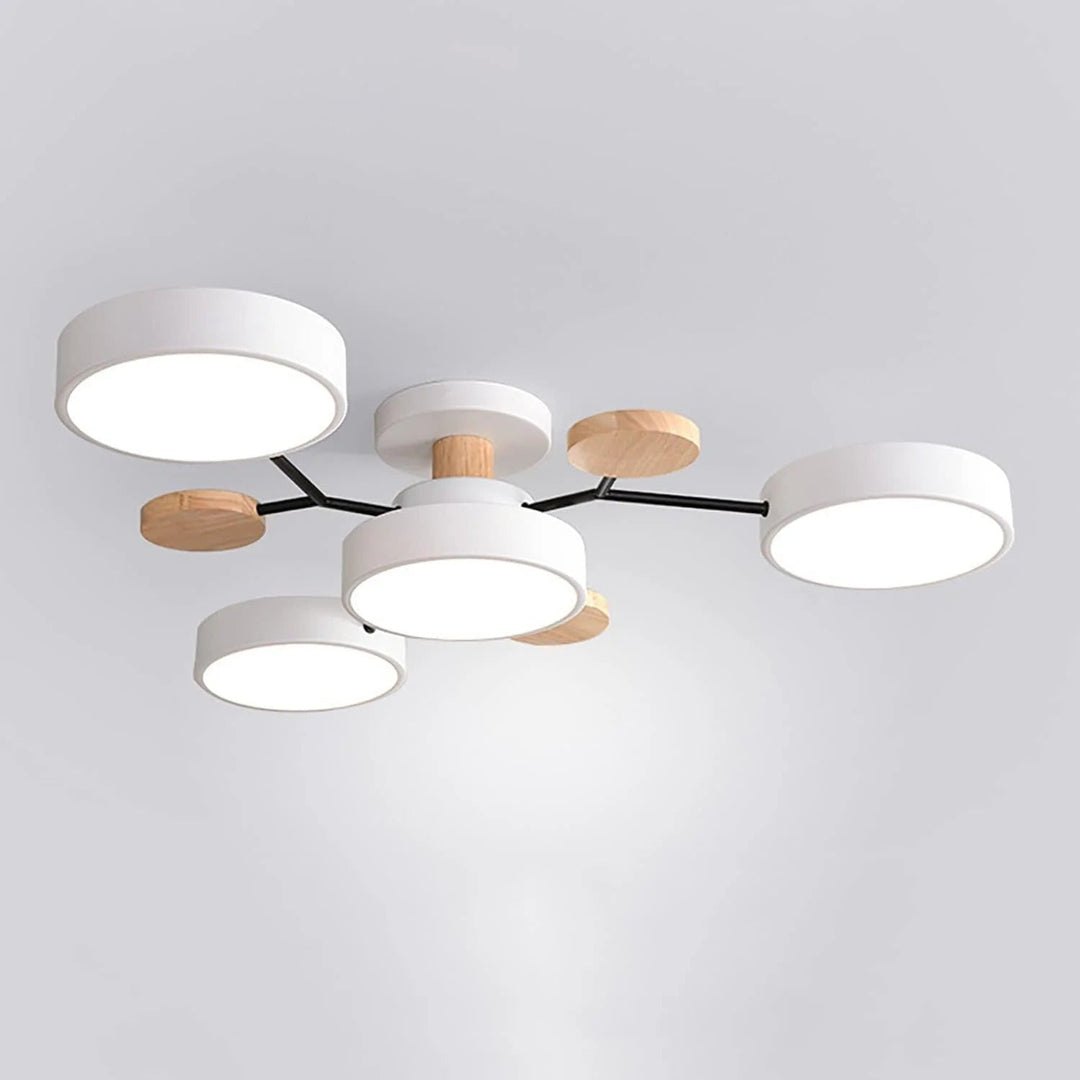 Skanto | Taklampe Modern LED Flush Mount Chandelier