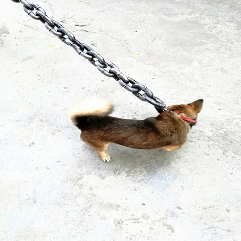 Skanto | Morsom Stor Hundekrage