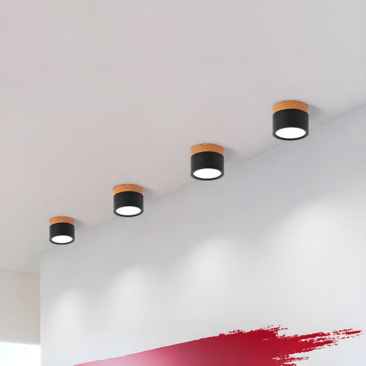 Skanto | LED Taklampe Moderne Flush Mount Sylinder