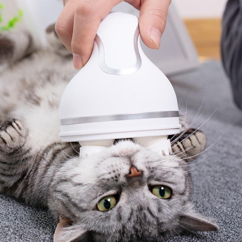 Electric Cat Massager | Skanto