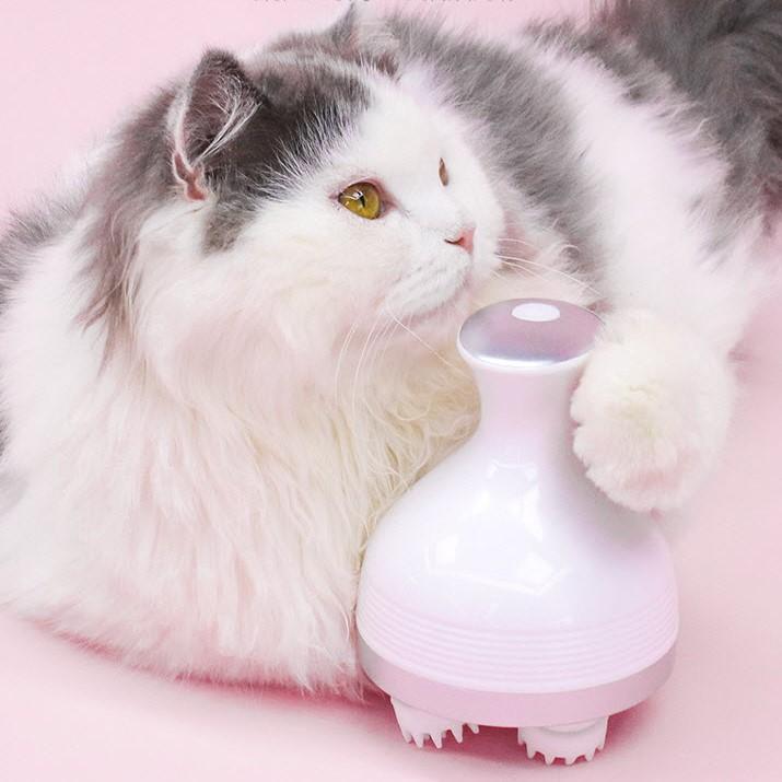 Electric Cat Massager | Skanto