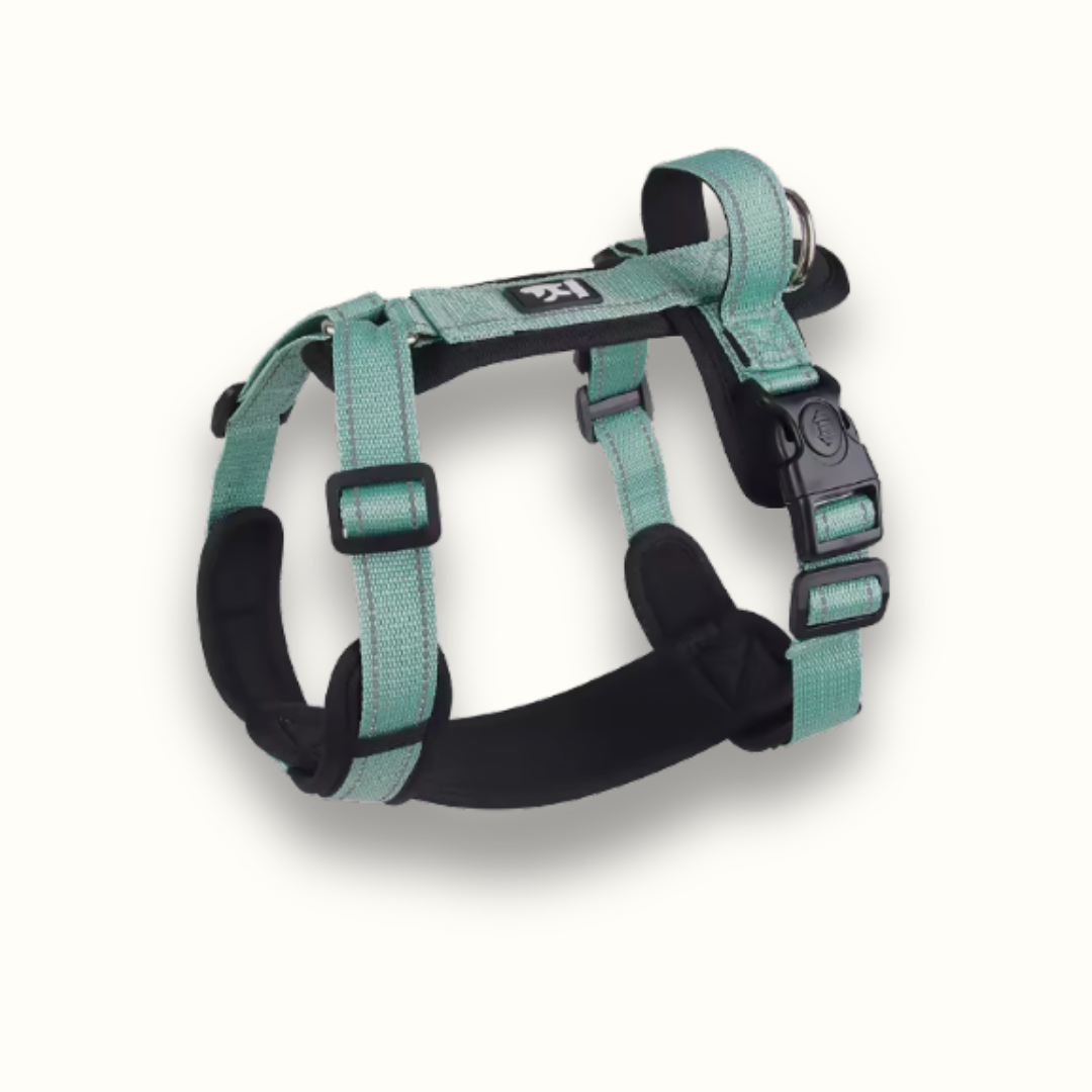 Skanto | StayPut - Justerbar No-Pull Hundesele