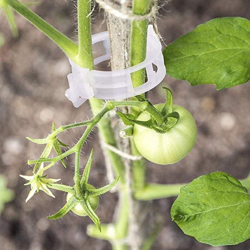 Skanto | Plante støtteklips
