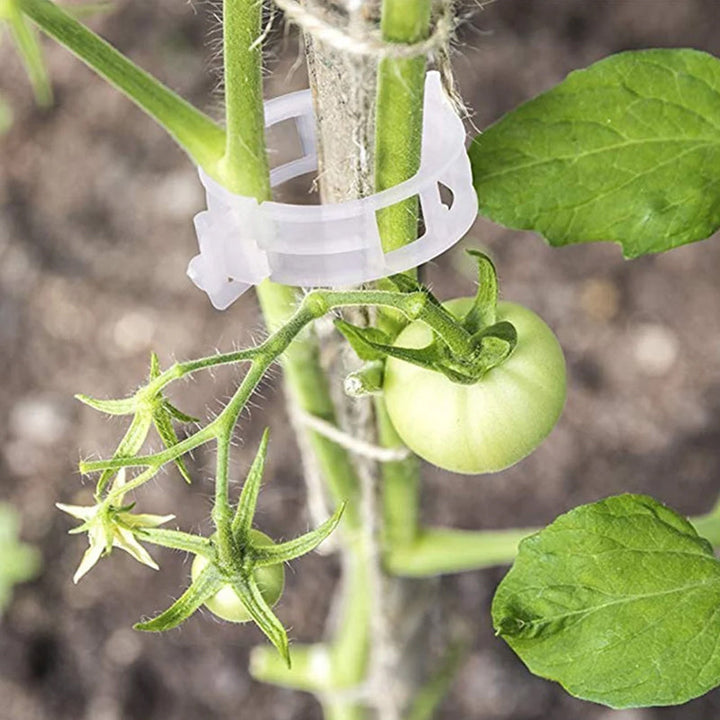 Skanto | Plante støtteklips