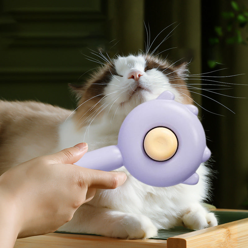 Pet Comb Brush | Skanto