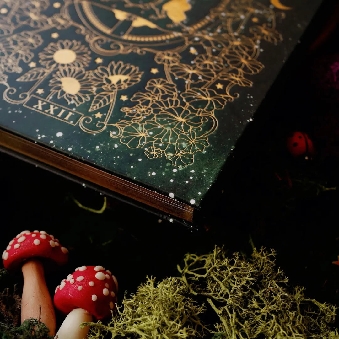 Skanto | Wonderland Journal