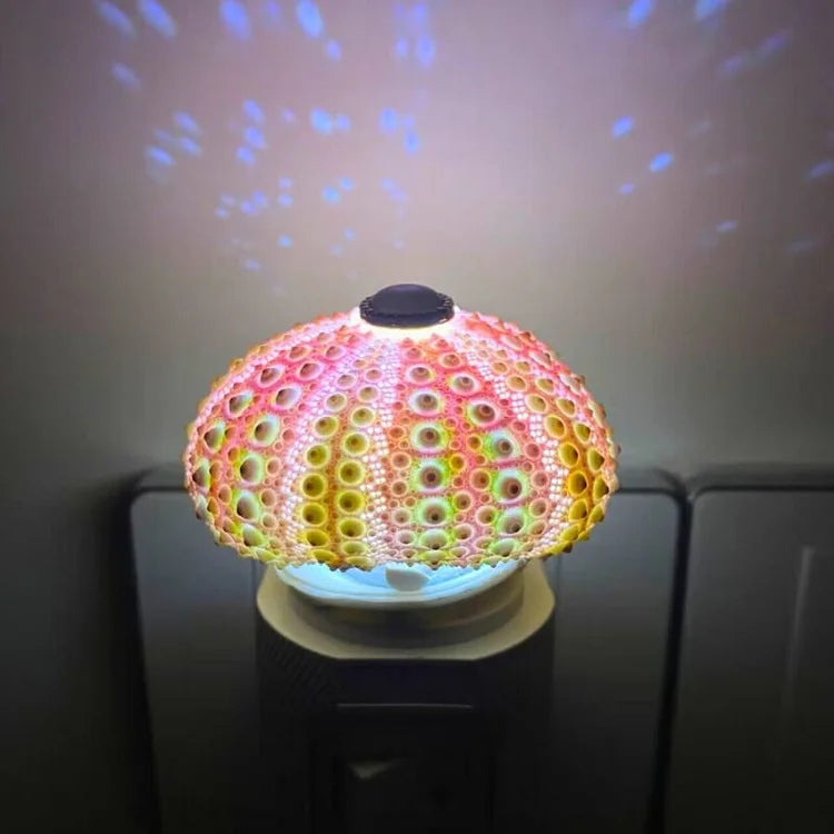 Skanto | LumiCraft – Unik DIY bordlampe med naturlig sjøskjell for en koselig dekor