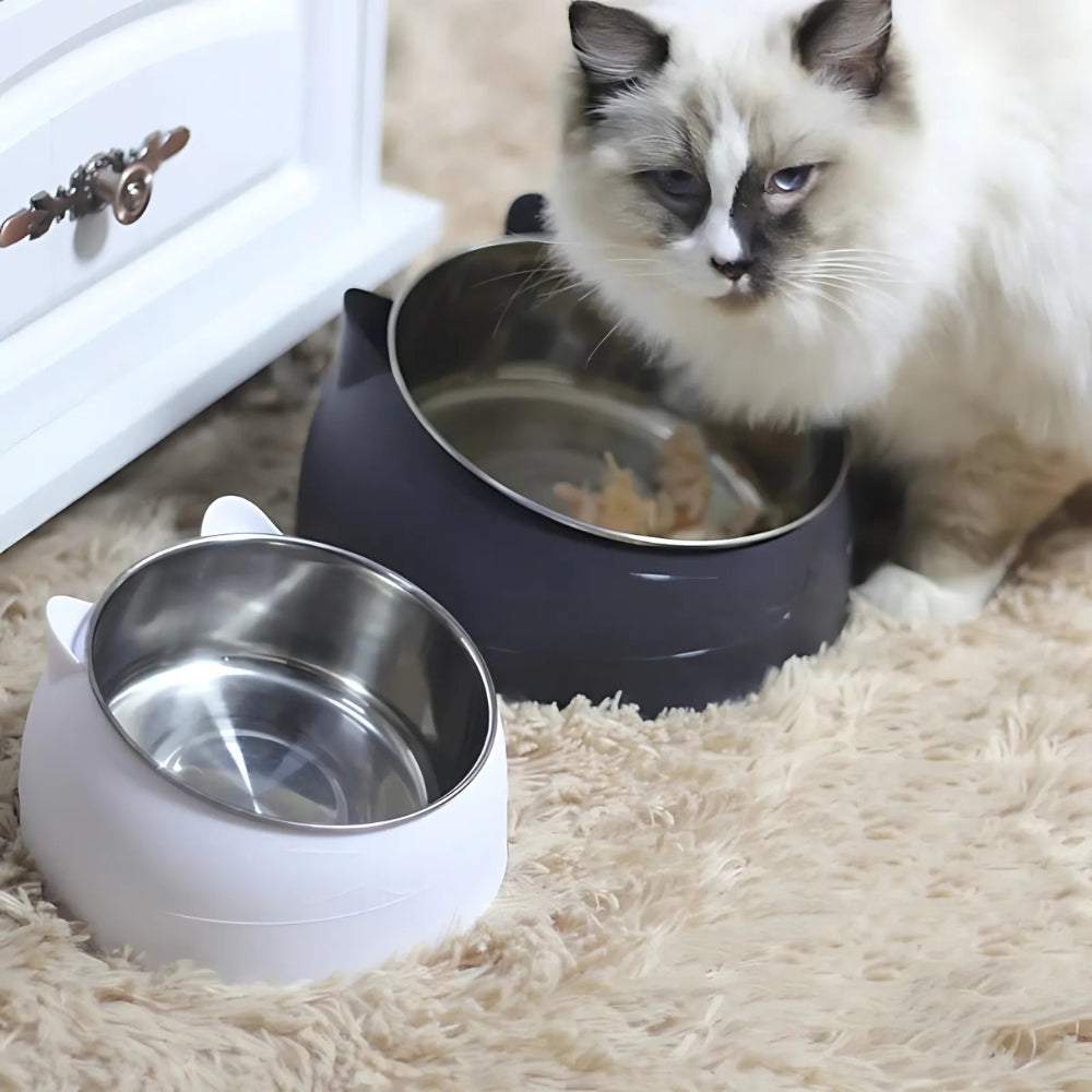 Skanto | PurrfectAngle Matingsbolle for kjæledyr