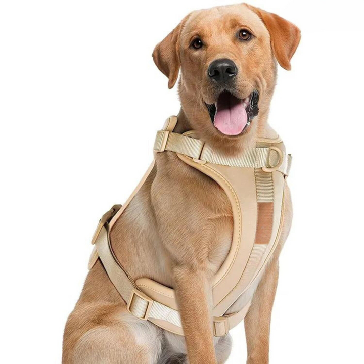 Skanto | ComfyPaws Hundesele Gåsett med Bånd og Bæsjeposeholder