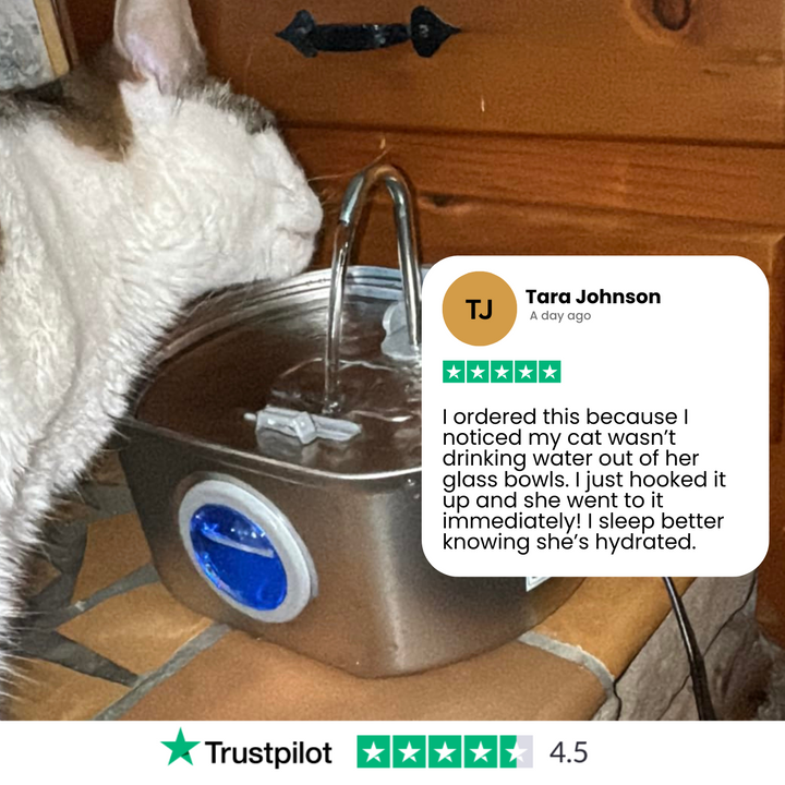 Skanto | Felindra Katte Drikkefontene Laget av Rustfritt Stål | Strømmende Vann for Bedre Hydrering | Stille & Hygienisk | 2,5 L Kapasitet