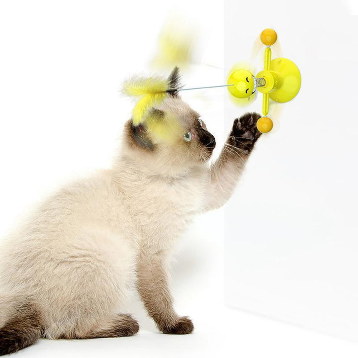 Multifunksjonelt spinning leketøy for katter | Skanto