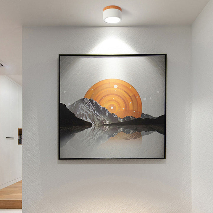 Skanto | LED Taklampe Moderne Flush Mount Sylinder