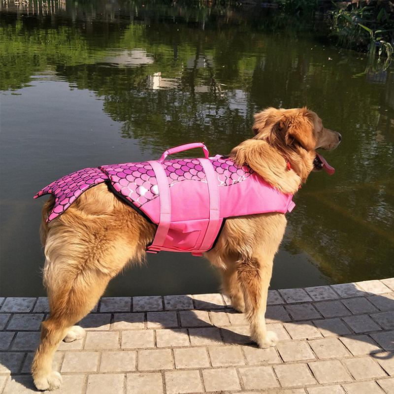 Skanto | Hund Svømmesikkerhetsjakke