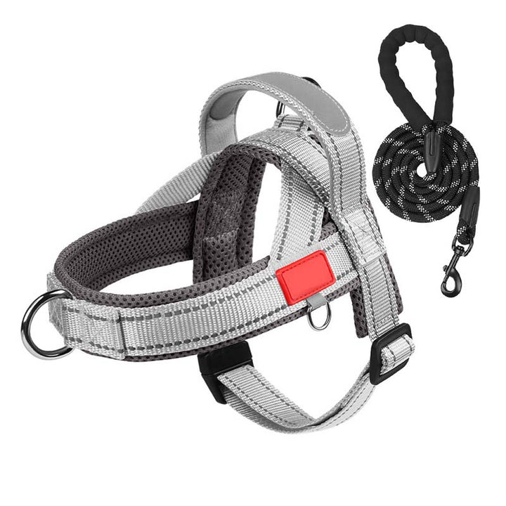 PawEase Comfort Harness — Avslappet påkledning og ubegrenset frihet for hunden din | Skanto