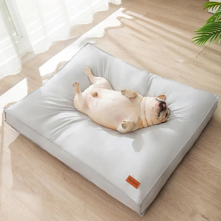 Ortopedisk Hundeseng – RelaxPfote Comfort Skanto