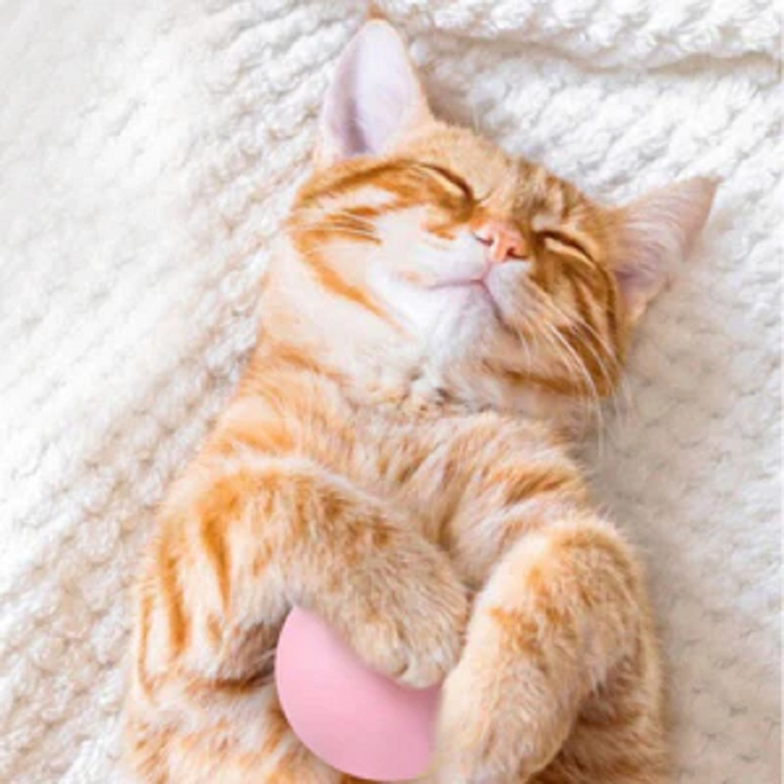 Skanto | Intelligent interaktiv katt ball leketøy