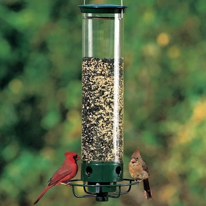 Skanto | Proof Fuglemater