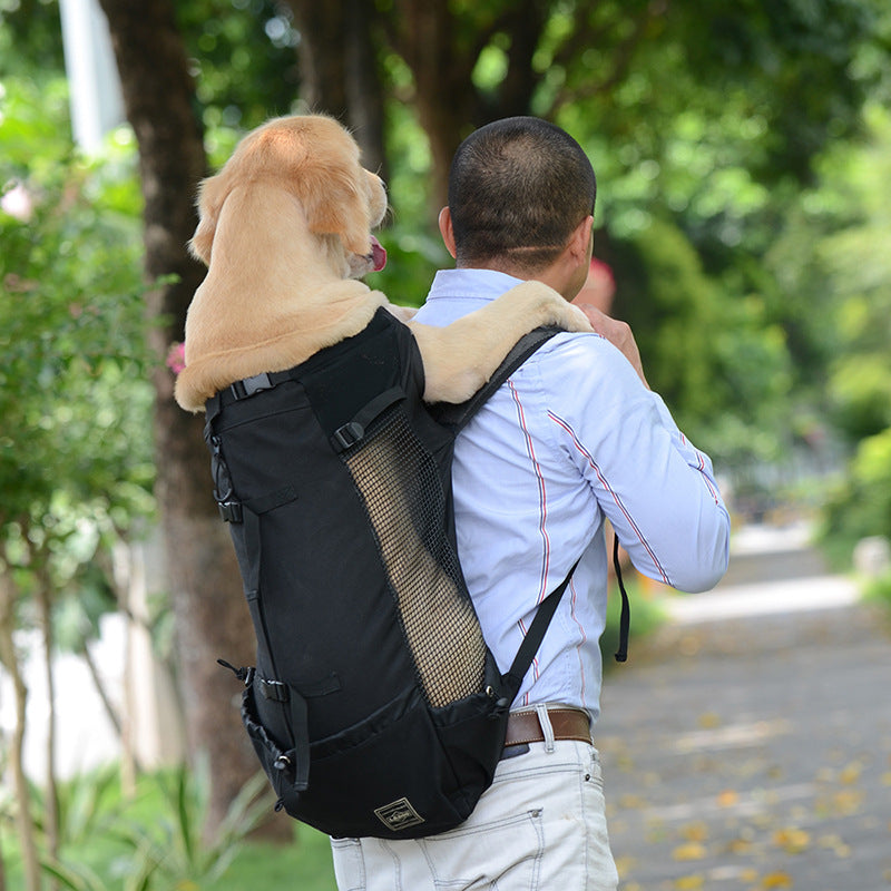 Hunde-ryggsekk – Bequeme Tragetasche für mittelgroße Hunde mit Sicherheitsgurt and Aufbewahrungstaschen