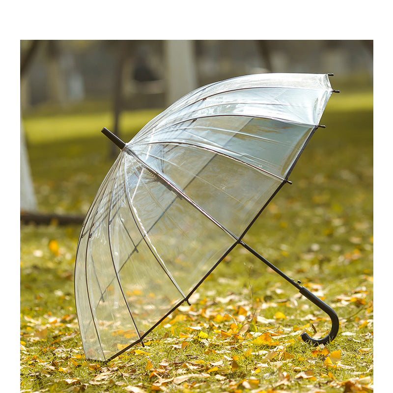 Dame gjennomsiktig paraply med stilig design Skanto