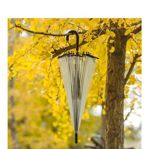 Dame gjennomsiktig vind- og regnparaply Skanto