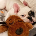 Skanto | Snuggle Puppy - Angsts- og ensomhetsdempende kosedyr