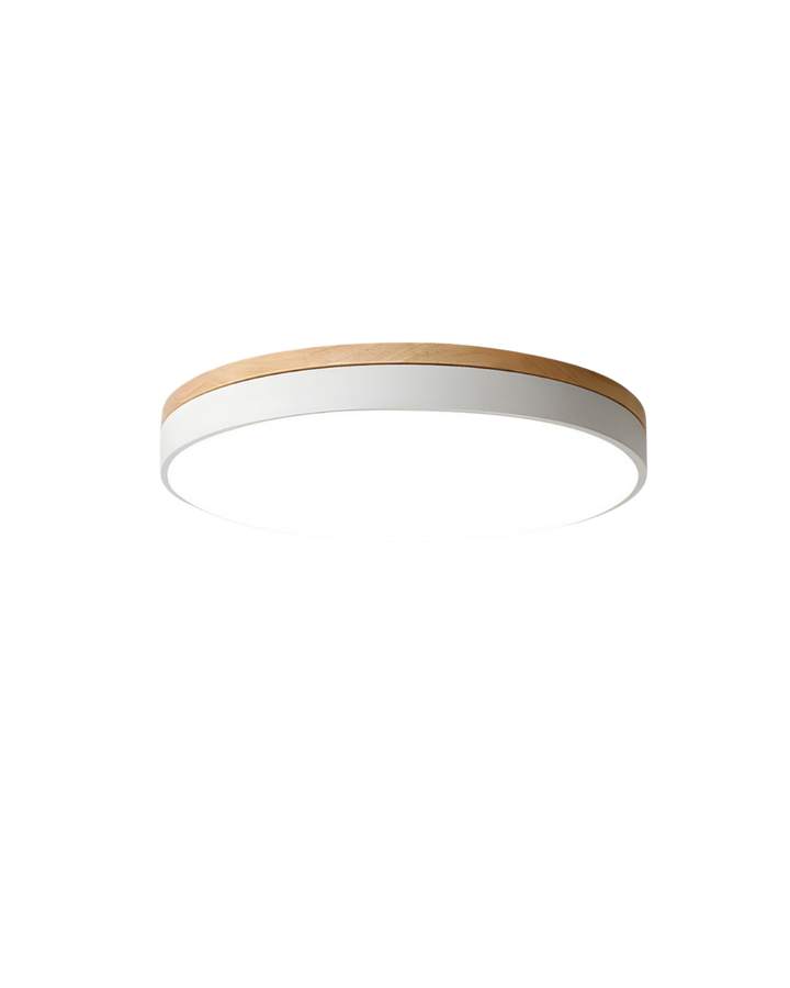 Skanto | Moderne Taklampe med Naturinspirert Form