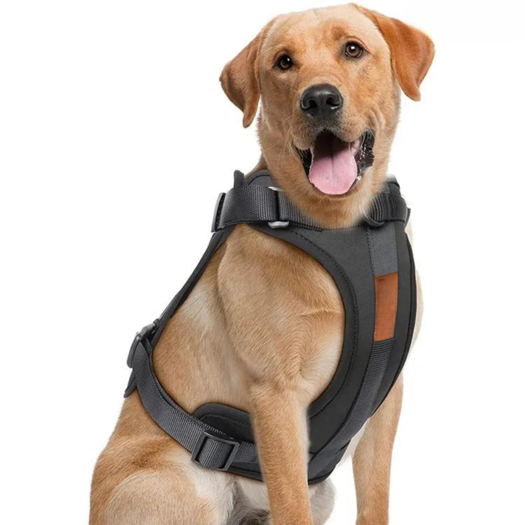 Skanto | ComfyPaws Hundesele Gåsett med Bånd og Bæsjeposeholder