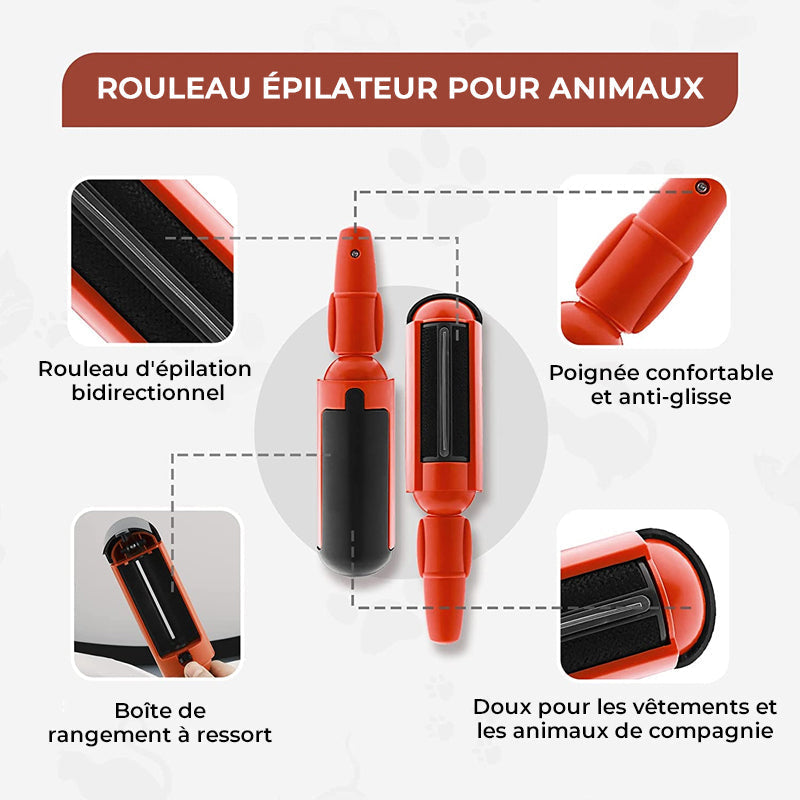 Adhesive Brush for Pets | Skanto